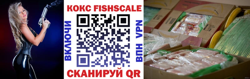 mega как войти  цена наркотик  Шадринск  COCAIN 99% 