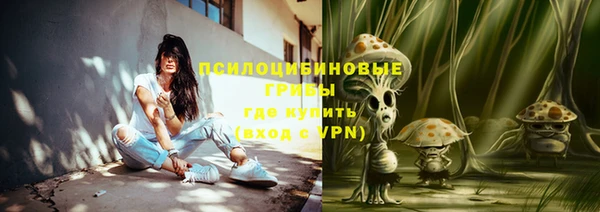 прущие крисы Алексеевка