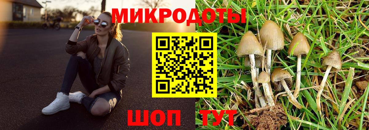 Галлюциногенные грибы MAGIC MUSHROOMS Шадринск